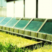 Chiba University, Japanese Omotanashi House, 2012 European Solar Decathlon, green house, green home, solar home, solar-powered home, Solar Decathlon 2012, Madrid Solar Decathlon, solar prefab, prefab home, photovoltaics