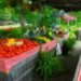 organic food, health benefits, Annals of Internal Medicine, stanford university of medicine, organic farming, pesticides, fertilizers, food production, vegetables