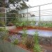 Pacific Heights Townhouse, Feldman Architecture, san francisco, green renovation, eco renovation, daylighting