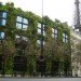 Museé du Quai Branly, Patrick Blanc, Ana Lisa Alperovich, paris, green wall, eiffel tower, green tapestry, live garden, green roof, Vertical Garden, Urban farming, Daylighting, Botanical, Green renovation, energy efficiency, Air quality, art, Architecture,