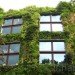 Museé du Quai Branly, Patrick Blanc, Ana Lisa Alperovich, paris, green wall, eiffel tower, green tapestry, live garden, green roof, Vertical Garden, Urban farming, Daylighting, Botanical, Green renovation, energy efficiency, Air quality, art, Architecture,
