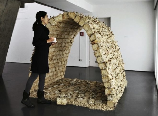 Philip Ross, mycelium, fungus furniture, Phil Ross, mushroom, mycelium building material