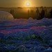 Poetic Cosmos of the Breath, solar dome, Tomas Saraceno, floating cities, utopia, architecture, green design, sustainable design, eco-design, art, temporary design