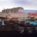 oyster-tecture, kate orff, brooklyn, polluted waterways, gowanus canal, shellfish, water filtration, oyster park, artificial reef, mollusks, landscape architecture