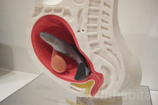 Royal College Of Art exhibition Design For The Real World at London Design Festival