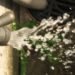 nasa, john feighery, mWater, android phone, phone application, mwater application, water quality, water tests
