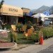 nexus architectural, salt lake city, park(ing) day, parking day, pop-up park, public space, urban design, green design, sustainable design, gardening, parking meter park, parklet, public art, urban intervention