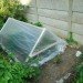 Extension gardening, cloches, hoophouse, greenhouse, winter garden