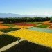habitat restoration, urban boundary, ecological renovation of a city, Texcoco Lake Ecological Park, Texcoco Lake, Mexico City, climate change, sustainable megacity management, hydrological infrastructure, green infrastructure, landscape urbanism