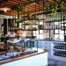 Caroline Choker, The Grounds, Australia, Alexandria, GMO-free, renovation, shipping container, green design, sustainable design, eco-design, urban farming, GMO, sustainable food, sustainable materials, vintage