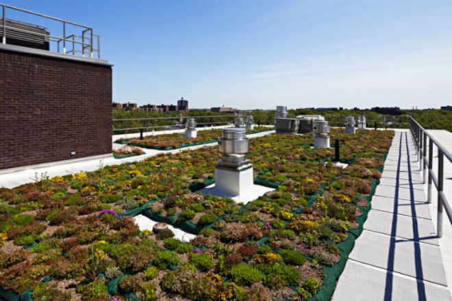 The Hegeman, Cook+Fox, leed silver, common ground community, brooklyn, social housing, green roof