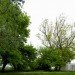 Treehouse Riga, Appleton Domingos, lisbon, modular housing, prefab housing, small space living, compact home