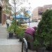 urban habitat chicago, chicago, park(ing) day, parking day, pop-up park, public space, urban design, green design, sustainable design, gardening, parking meter park, parklet, public art, urban intervention