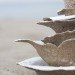 green design, eco design, sustainable design, sustainable tableware, VIctor Castanera, sand bowls, sand plates, sand trays, Areniscos