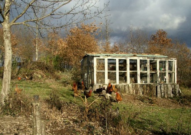 Extension gardening, cloches, hoophouse, greenhouse, winter garden