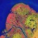nunalleq, alaska, eskimo, archaeology, rick knecht, university of aberdeen, climate change