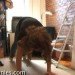 tiny apartment, adAPT Nyc, felice cohen, micro apartments, microstudio, micro studio, small nyc apartments, small space living, studio apartment, tiny apartments, tiny living, tiny studio, simple living, tiny home, 90 square foot apartment, 90 sq ft apartment
