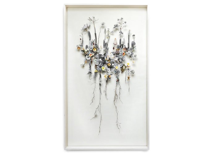 flower construction, anne ten donkelaar, flowers, plants, collage, netherlands