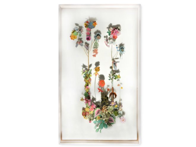 flower construction, anne ten donkelaar, flowers, plants, collage, netherlands