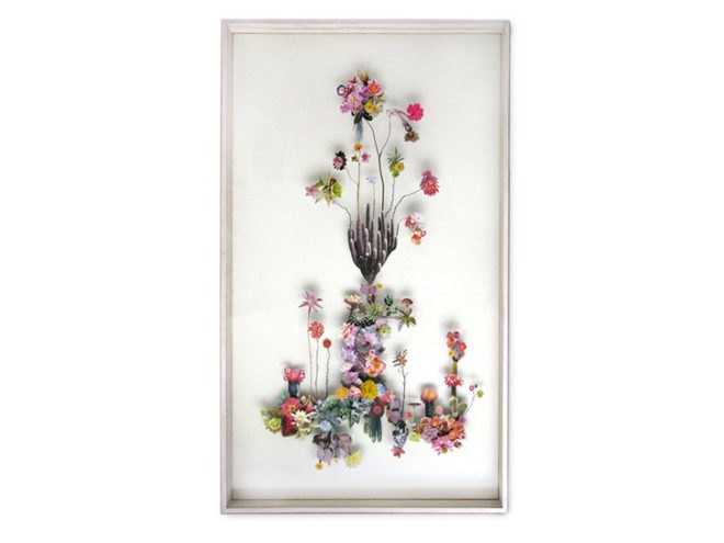 flower construction, anne ten donkelaar, flowers, plants, collage, netherlands