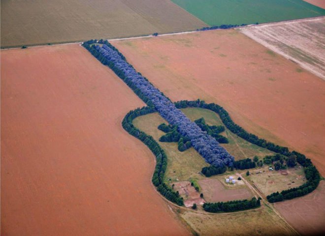 Argentine Forest Guitar, Forest Guitar, man made forest, guitar forest, love forest, manmade forest, planted forest, unnatural forest