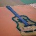 Argentine Forest Guitar, Forest Guitar, man made forest, guitar forest, love forest, manmade forest, planted forest, unnatural forest