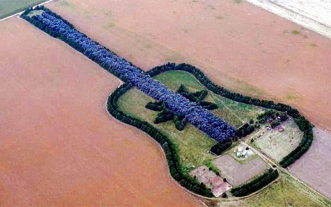 Argentine Forest Guitar, Forest Guitar, man made forest, guitar forest, love forest, manmade forest, planted forest, unnatural forest