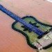 Argentine Forest Guitar, Forest Guitar, man made forest, guitar forest, love forest, manmade forest, planted forest, unnatural forest