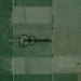 Argentine Forest Guitar, Forest Guitar, man made forest, guitar forest, love forest, manmade forest, planted forest, unnatural forest
