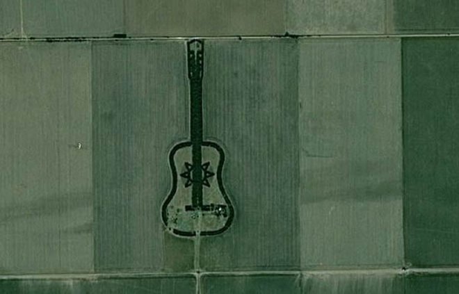 Argentine Forest Guitar, Forest Guitar, man made forest, guitar forest, love forest, manmade forest, planted forest, unnatural forest