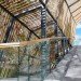 Leon, Mexico, retrofit, parametric modeling, SHINE Architecture, daylighting, natural ventilation, atrium, green design, sustainable design, eco-design, reused materials, energy efficiency, glazing