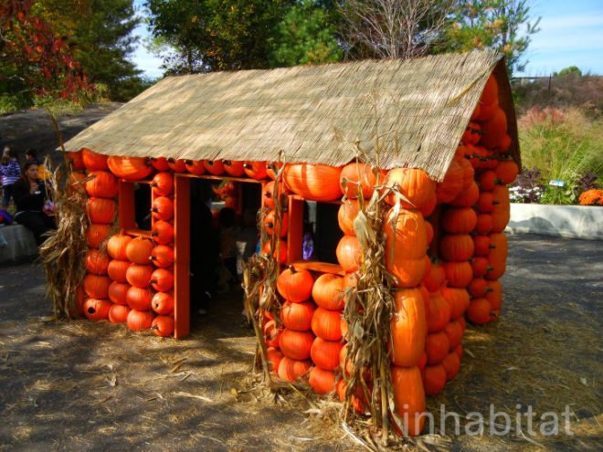 haunted pumpkin garden, botanical gardens, fall events, fall events nyc, New York botanical gardens, news, ny botanical gardens, nyc events, pumpkin, pumpkin carving, pumpkin events, ray villafane, world’s largest pumpkin, bronx botanical garden, things to do fall, autumn events, fall events nyc, pumpkin picking, pumpkin garden