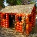 haunted pumpkin garden, botanical gardens, fall events, fall events nyc, New York botanical gardens, news, ny botanical gardens, nyc events, pumpkin, pumpkin carving, pumpkin events, ray villafane, world’s largest pumpkin, bronx botanical garden, things to do fall, autumn events, fall events nyc, pumpkin picking, pumpkin garden