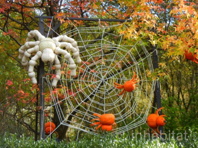haunted pumpkin garden, botanical gardens, fall events, fall events nyc, New York botanical gardens, news, ny botanical gardens, nyc events, pumpkin, pumpkin carving, pumpkin events, ray villafane, world’s largest pumpkin, bronx botanical garden, things to do fall, autumn events, fall events nyc, pumpkin picking, pumpkin garden