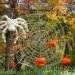 haunted pumpkin garden, botanical gardens, fall events, fall events nyc, New York botanical gardens, news, ny botanical gardens, nyc events, pumpkin, pumpkin carving, pumpkin events, ray villafane, world’s largest pumpkin, bronx botanical garden, things to do fall, autumn events, fall events nyc, pumpkin picking, pumpkin garden