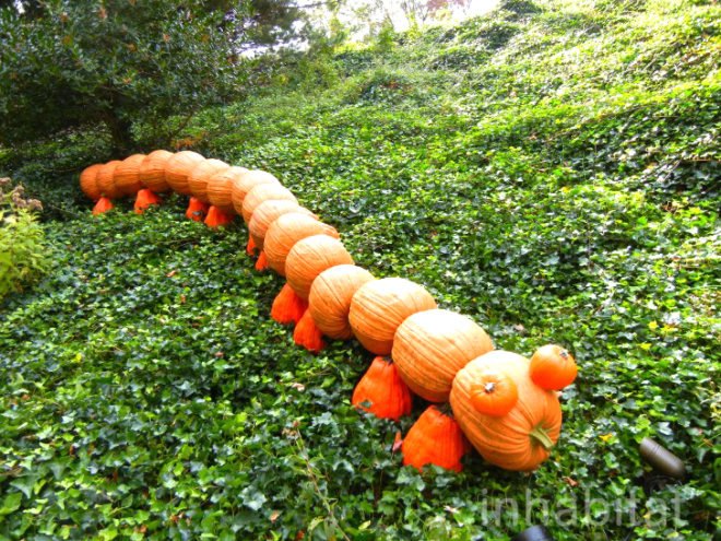 haunted pumpkin garden, botanical gardens, fall events, fall events nyc, New York botanical gardens, news, ny botanical gardens, nyc events, pumpkin, pumpkin carving, pumpkin events, ray villafane, world’s largest pumpkin, bronx botanical garden, things to do fall, autumn events, fall events nyc, pumpkin picking, pumpkin garden