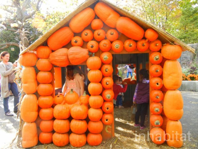 haunted pumpkin garden, botanical gardens, fall events, fall events nyc, New York botanical gardens, news, ny botanical gardens, nyc events, pumpkin, pumpkin carving, pumpkin events, ray villafane, world’s largest pumpkin, bronx botanical garden, things to do fall, autumn events, fall events nyc, pumpkin picking, pumpkin garden