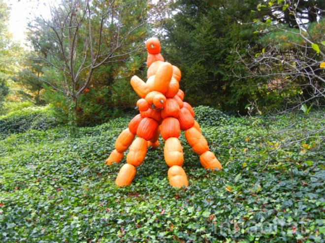 haunted pumpkin garden, botanical gardens, fall events, fall events nyc, New York botanical gardens, news, ny botanical gardens, nyc events, pumpkin, pumpkin carving, pumpkin events, ray villafane, world’s largest pumpkin, bronx botanical garden, things to do fall, autumn events, fall events nyc, pumpkin picking, pumpkin garden