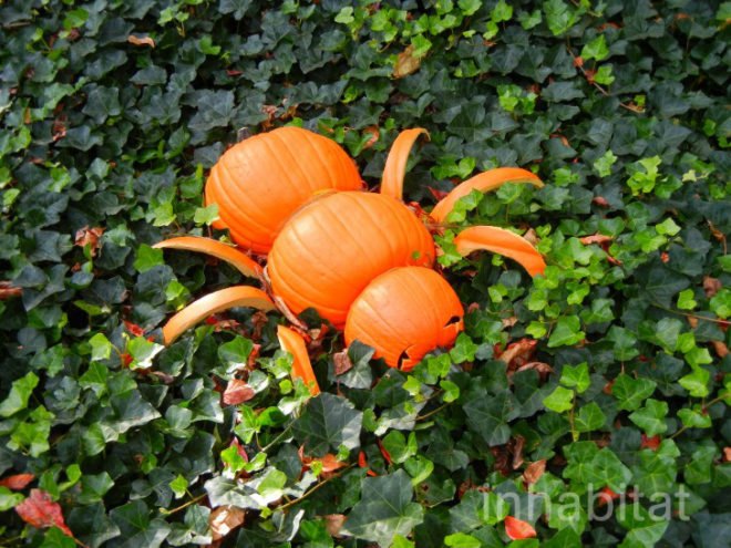 haunted pumpkin garden, botanical gardens, fall events, fall events nyc, New York botanical gardens, news, ny botanical gardens, nyc events, pumpkin, pumpkin carving, pumpkin events, ray villafane, world’s largest pumpkin, bronx botanical garden, things to do fall, autumn events, fall events nyc, pumpkin picking, pumpkin garden