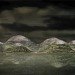 havvada, dror benshetrit, artificial island, istanbul, turkey, black sea, sea of marmara, domes, city