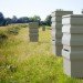 hive, backyard beekeeping, bees, philip de los reyes, design