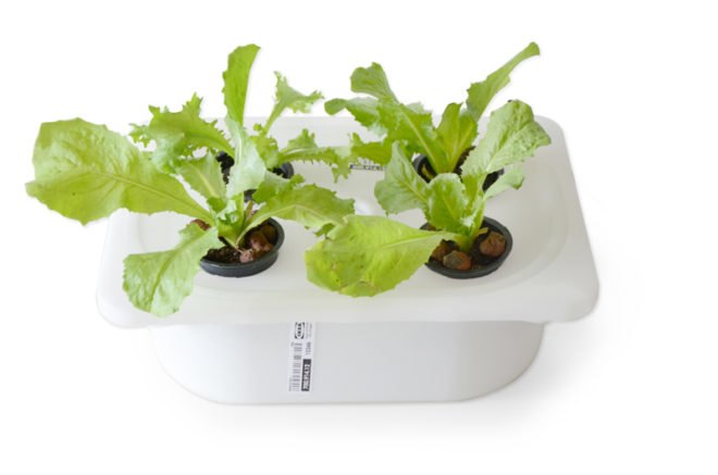 ELIOOO instruction book, ELIOOO, hydroponic instruction book, hydroponic gardening, DIY hydroponic gardening, how to hydroponic gardening