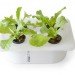 ELIOOO instruction book, ELIOOO, hydroponic instruction book, hydroponic gardening, DIY hydroponic gardening, how to hydroponic gardening
