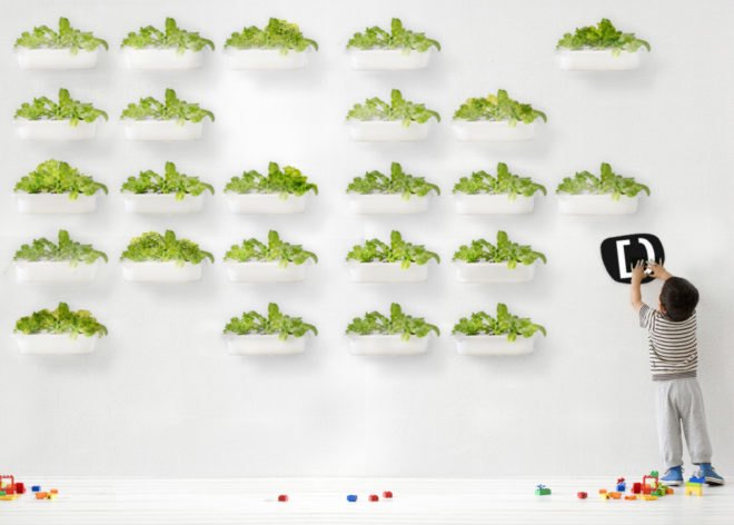 ELIOOO instruction book, ELIOOO, hydroponic instruction book, hydroponic gardening, DIY hydroponic gardening, how to hydroponic gardening