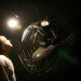Deep Sea Angler Fish Lamp Justin La Doux, biomimicry, green lamp design, recycled materials, LED lighting