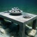 Jason deCaires Taylor, Urban Reef, Cancun, Mexico, coral reefs, ocean acidification, climate change, ocean health, sea creatures
