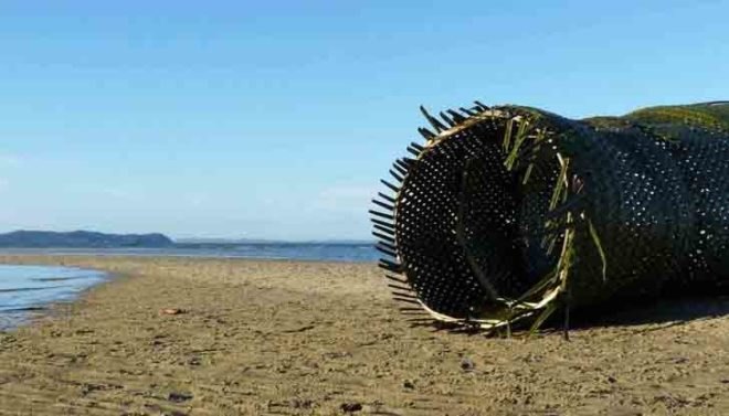 Ivan Juarez, X-Studio, X-Studio Architecture, Natural Architecture, Palm Observatory, Lightweave Palm Observatory, All Saints Bay Brazil, Itaparica Brazil, Green Building, Natural Building