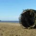 Ivan Juarez, X-Studio, X-Studio Architecture, Natural Architecture, Palm Observatory, Lightweave Palm Observatory, All Saints Bay Brazil, Itaparica Brazil, Green Building, Natural Building