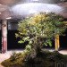 green design, eco design, sustainable design, green design nyc, eco design nyc, sustainable design nyc, low line, lowline, low line nyc, lowline nyc, parks, underground, underground park, lowline underground park, low line underground park, green park, eco park, sustainable park, exhibitions, green exhibitions new york, eco exhibitions, sustainable exhibitions, imagining the lowline, imagining the low line, low line preview, low line preview exhibitions, imagining the low line preview