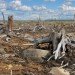 deforestation, indonesia, nasa, ames laboratory, california, environment, mongabay, global forest disturbance alert system, nasa ames laboratory, indonesia deforestation,